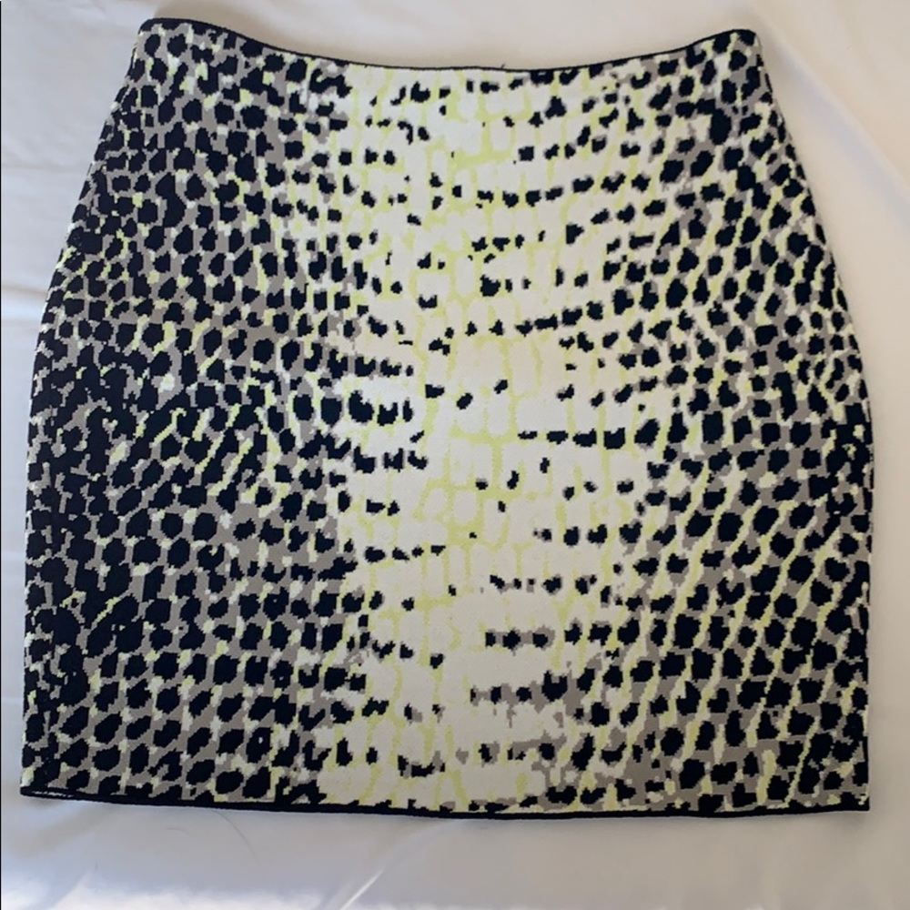 Animal Print Mini Skirt